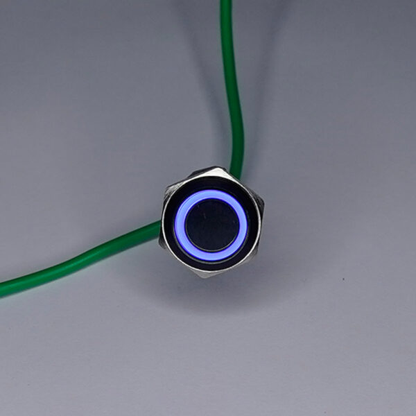 16MM Flat head 12-24V Blue LED push button momentary self rest switch